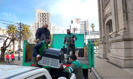 Se estima que se recolectarán unos 3 mil kilos. Se estima que se recolectarán unos 3 mil kilos.