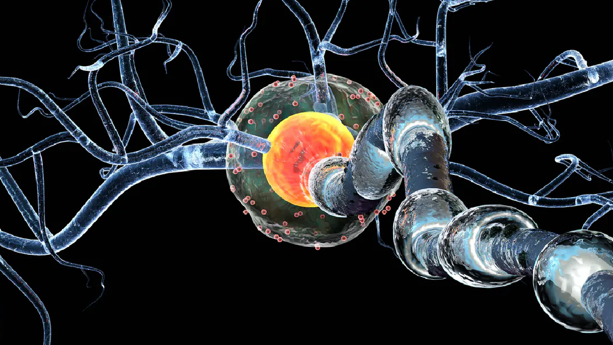 La sensación de entumecimiento normalmente comienza en los pies y va subiendo hasta alcanzar el tronco y los brazos.