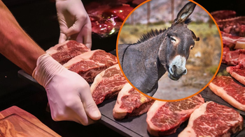 ¿Se puede comer carne de burro?: un funcionario de Ganadería despejó todas las dudas