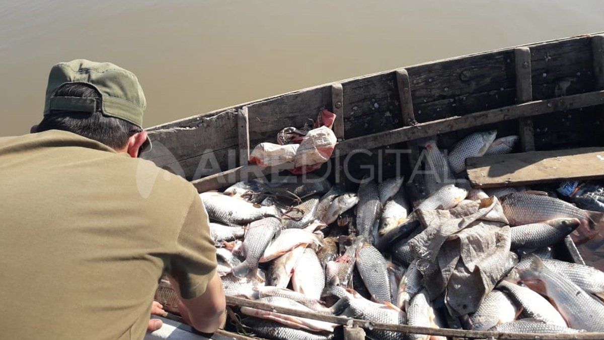 Los datos sobre la cantidad de toneladas de pescados extraídas del río son dudosos frente a controles ineficientes.