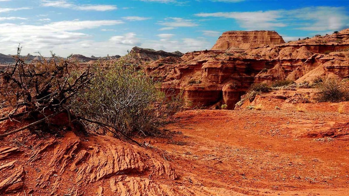 La reserva funciona como uno de los últimos refugios protegidos para la mara y el pichiciego menor, especies que dependen estrictamente del equilibrio del ecosistema de Chaco Seco. La reserva funciona como uno de los últimos refugios protegidos para la mara y el pichiciego menor, especies que dependen estrictamente del equilibrio del ecosistema de Chaco Seco.