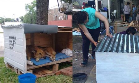 conoce a los santafesinos que hacen cuchas para perros de la calle conoce a los santafesinos que hacen cuchas para perros de la calle