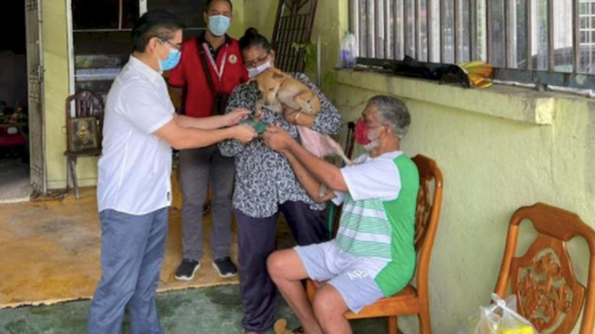 Perra heroína: salvó a su familia humana de morir en un incendio