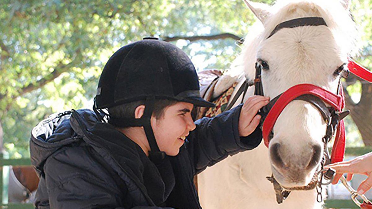 Con el objetivo de regular la habilitación de los espacios ecuestres con fines terapéuticos para personas con discapacidad en Santa Fe