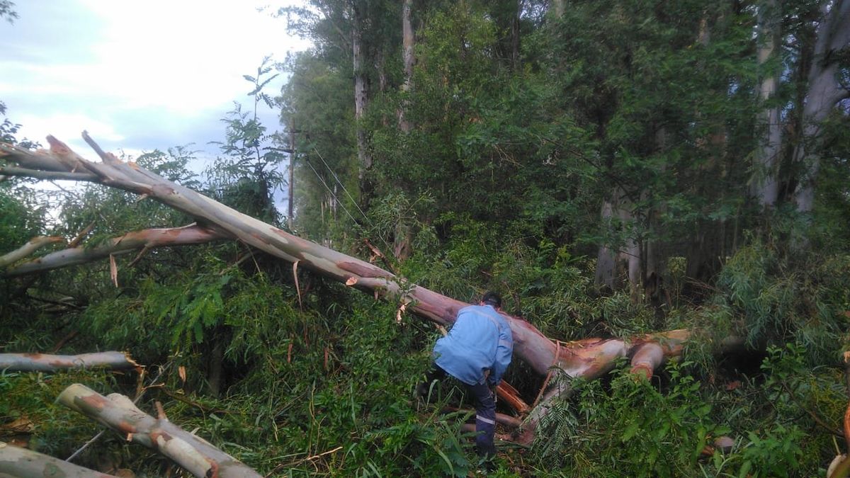Una fuerte tormenta provocó destrozos y dejó a varios barrios sin luz en la ciudad de Reconquista.