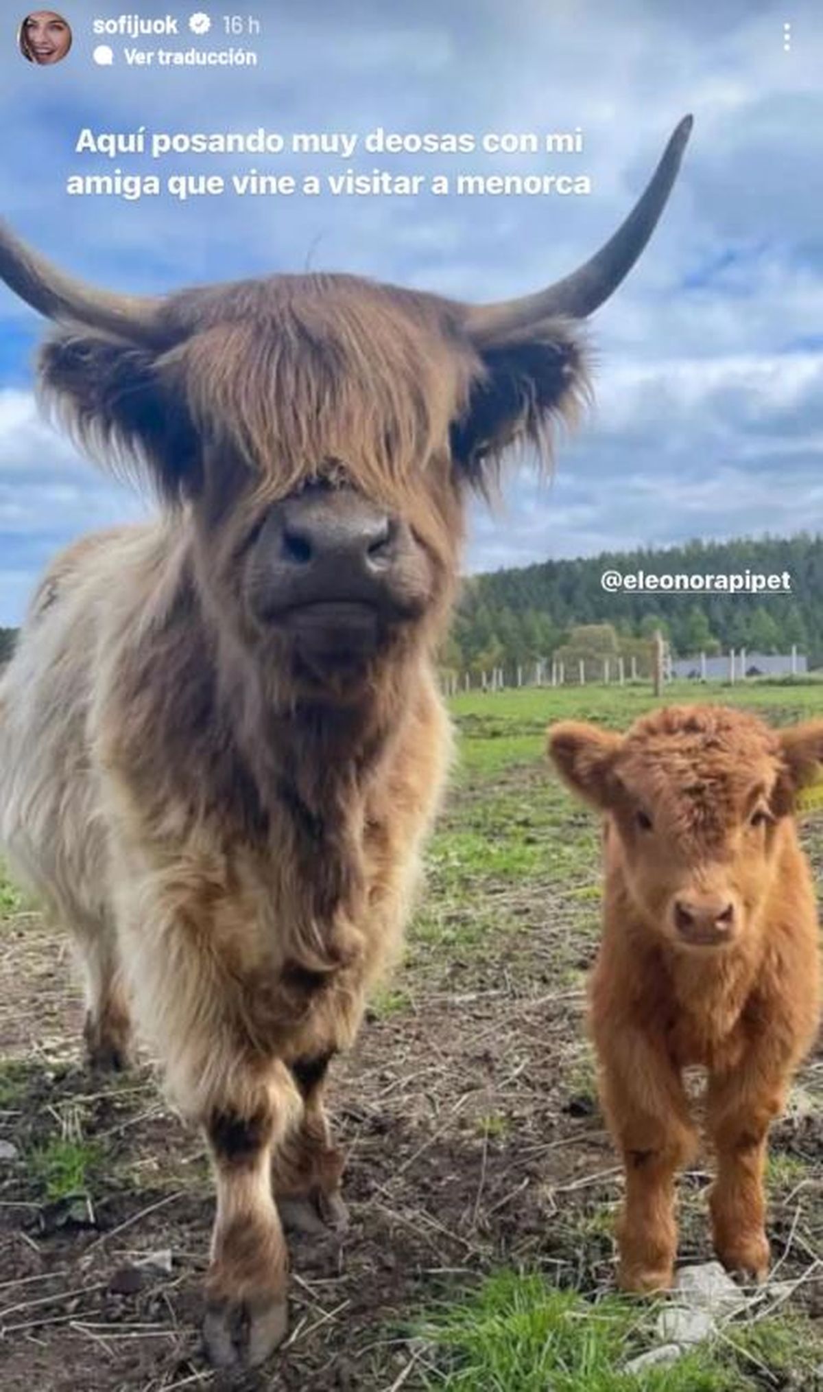 Jujuy Jiménez se burló de sus "cuernos". Jujuy Jiménez se burló de sus "cuernos".