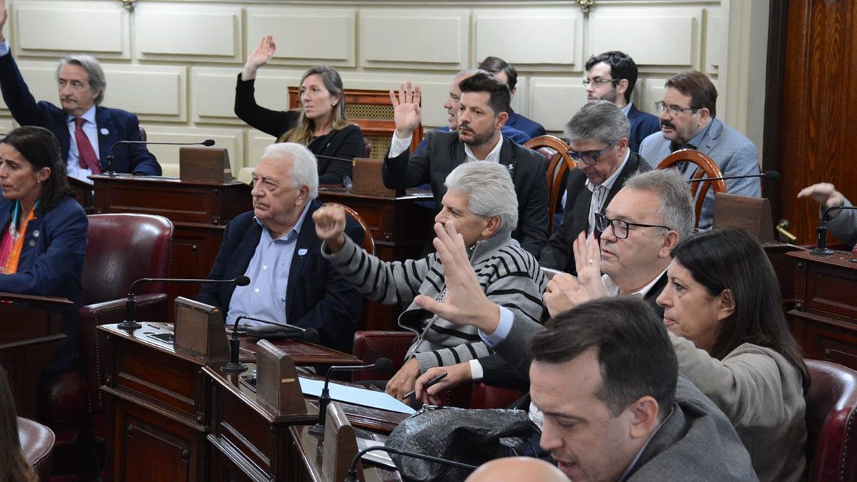 La fiscal Ferraro está procesada por la causal de eventual comisión de delito doloso conforme lo establecen los artículos 15 y 20 de la Ley N° 13.013 y sus modificatorias.