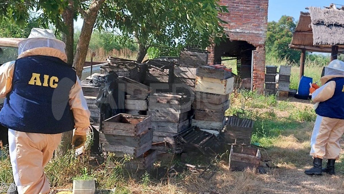 En los procedimientos los investigadores encontraron elementos vinculados a la causa.