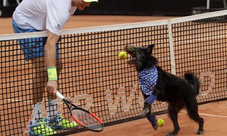 arranco el atp de cordoba, el primer torneo dog friendly arranco el atp de cordoba, el primer torneo dog friendly