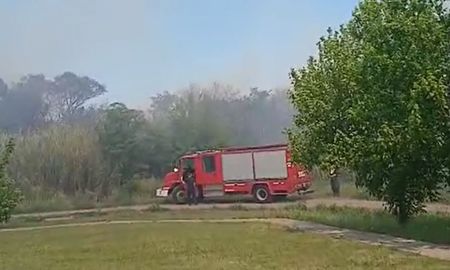 El fuego se desató este domingo después de las 14 en inmediaciones de Aristóbulo del Valle y Neuquén, en el norte de Santa Fe. El fuego se desató este domingo después de las 14 en inmediaciones de Aristóbulo del Valle y Neuquén, en el norte de Santa Fe.