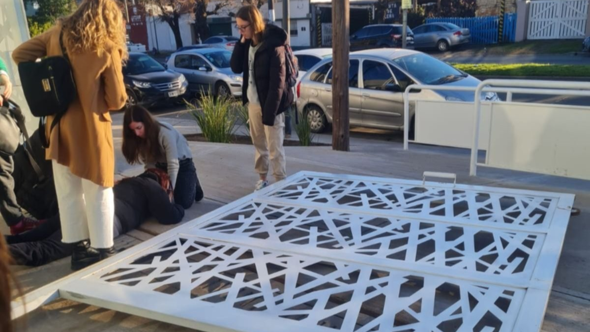 Pánico en La Plata: se desplomó un portón y aplastó a una maestra frente a los alumnos