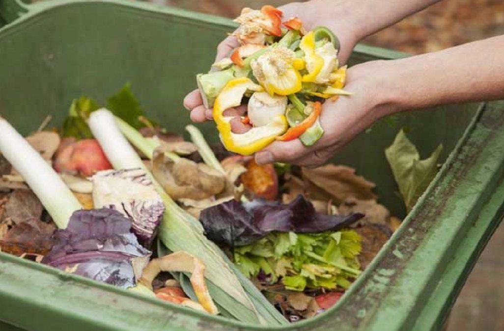 Científicos logran convertir desechos de alimentos en energía limpia