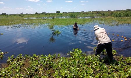 La UNL convoca a pescadores y pobladores de la cuenca del Paraná a aportar información sobre los peces de la región. La UNL convoca a pescadores y pobladores de la cuenca del Paraná a aportar información sobre los peces de la región.