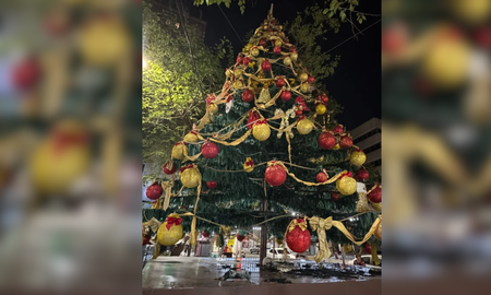 El aprehendido tiene 33 años y ocurrió en pleno centro de la ciudad. El aprehendido tiene 33 años y ocurrió en pleno centro de la ciudad.