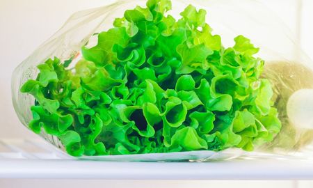 Cómo conservar la lechuga fresca por más tiempo y evitar que se marchite. Cómo conservar la lechuga fresca por más tiempo y evitar que se marchite.