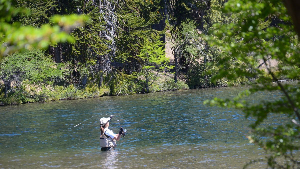 La pesca deportiva en el Lago Moquehue se rige por normativas estrictas de devolución que protegen a la trucha arcoíris, garantizando que el ecosistema se mantenga virgen y atractivo para los pescadores más exigentes del mundo. La pesca deportiva en el Lago Moquehue se rige por normativas estrictas de devolución que protegen a la trucha arcoíris, garantizando que el ecosistema se mantenga virgen y atractivo para los pescadores más exigentes del mundo.
