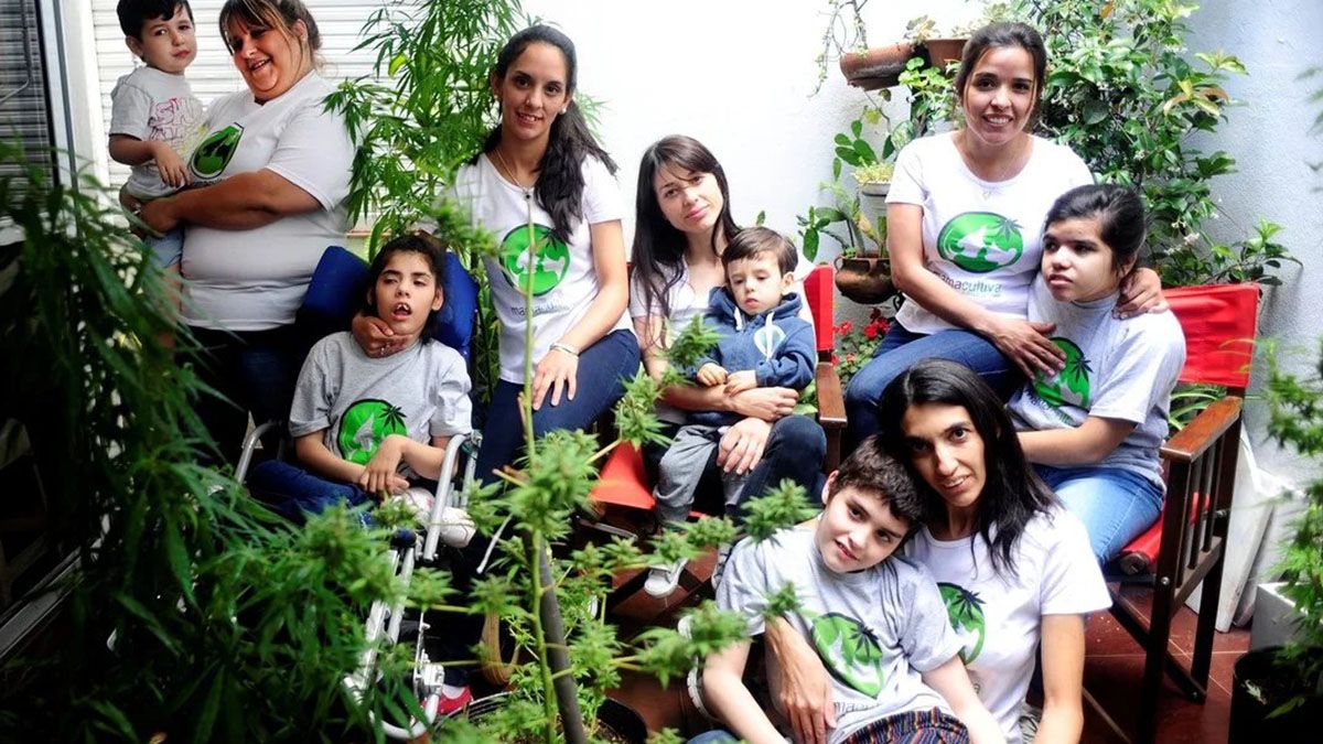 La ministra Frederic analizó cambios en la ley de autocultivo de cannabis para uso medicinal