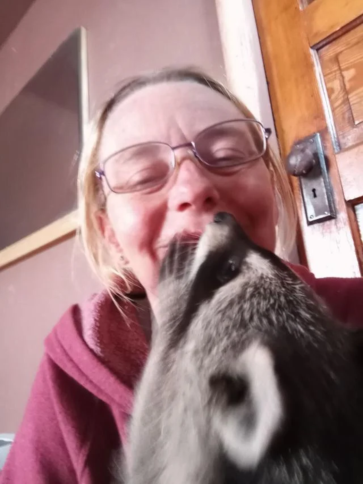 Erin Christensen y el mapache que su familia llamó Rocky. 