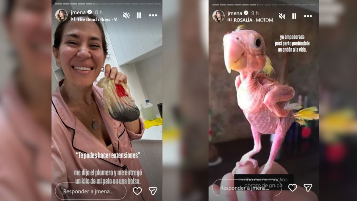 Jimena Barón se tomó con humor el hallazgo en su baño. Jimena Barón se tomó con humor el hallazgo en su baño.
