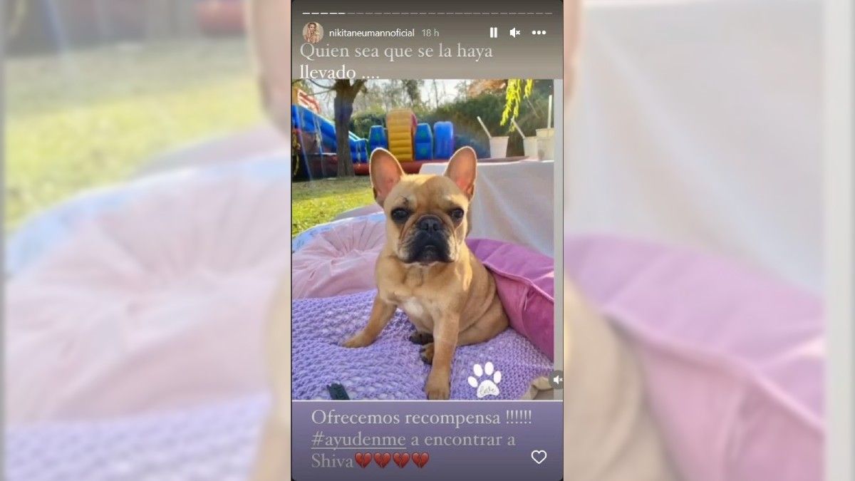 Durante la noche del viernes, Nicole Neumann hizo un desesperado pedido a través de Instagram.