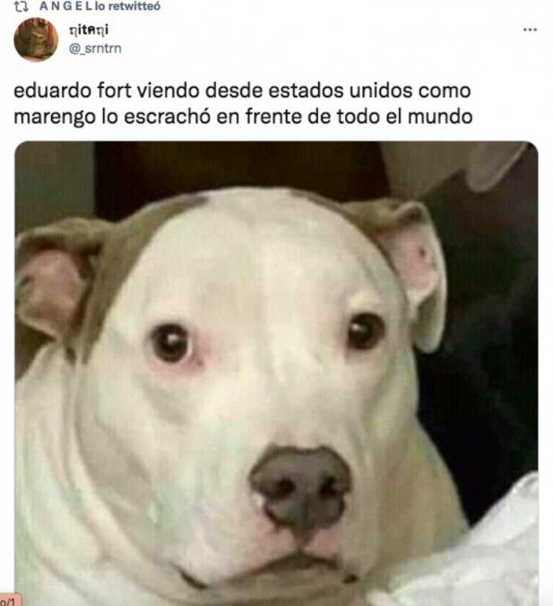 Las redes sociales se colmaron de memes tras lo dicho por Rocío Marengo.