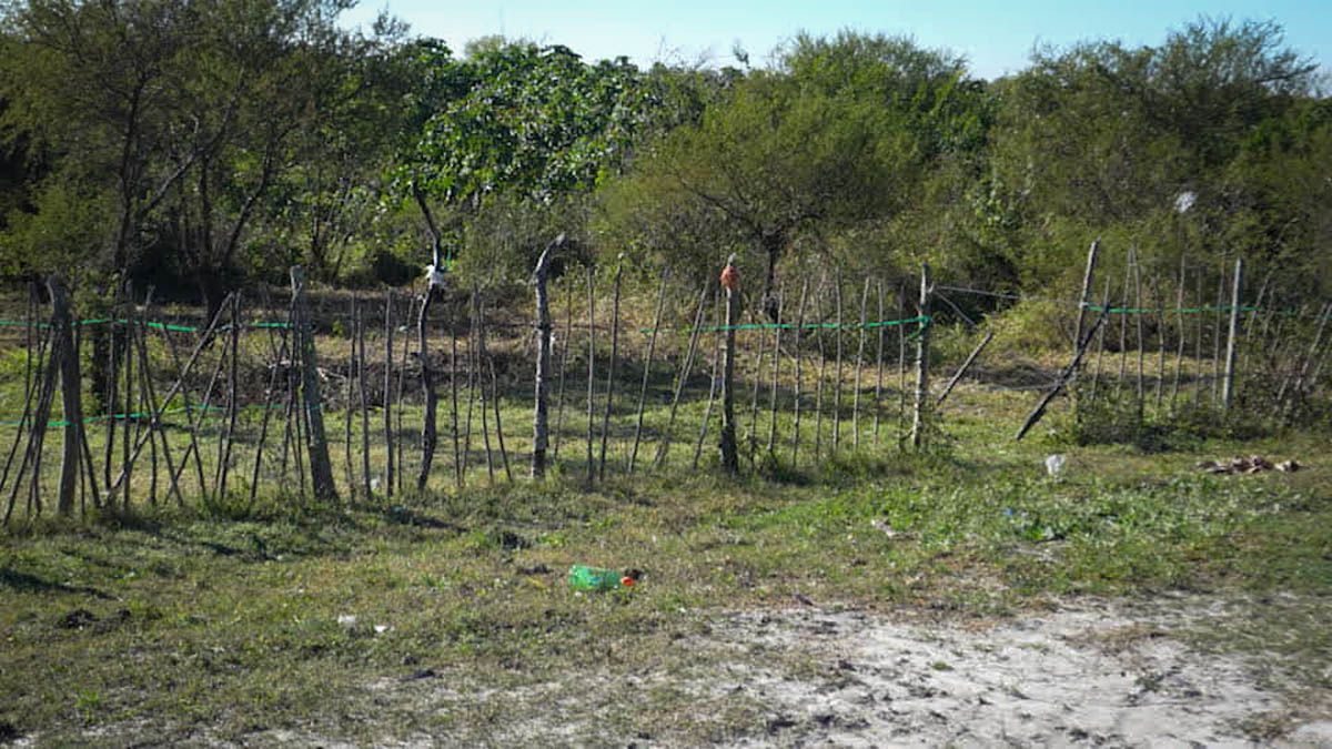 Sobre las mismas defensas del este de Alto Verde, se observan cercos que limitan lotes que ya cuentan con una construcción, o en los que se está construyendo en estos momentos, sin que nadie lo impida. Sobre las mismas defensas del este de Alto Verde, se observan cercos que limitan lotes que ya cuentan con una construcción, o en los que se está construyendo en estos momentos, sin que nadie lo impida.