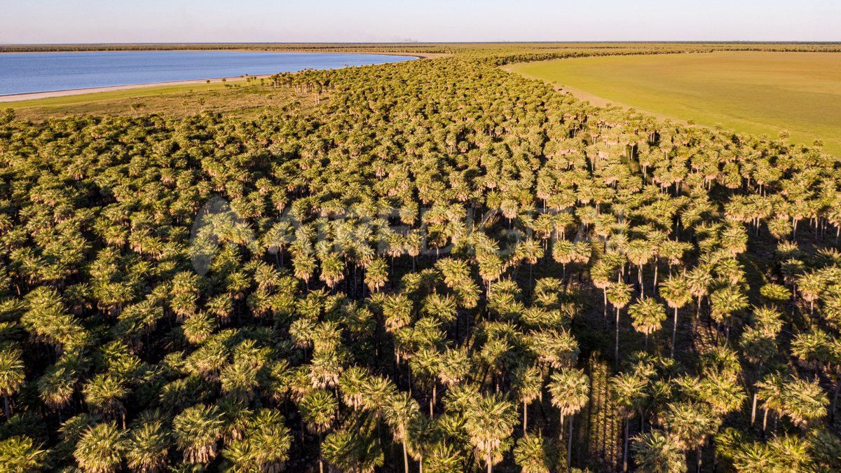 La laguna El Palmar está ubicada 40 kilómetros al oeste de Margarita