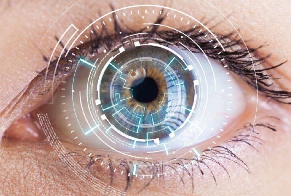 7 alimentos para mejorar la visión