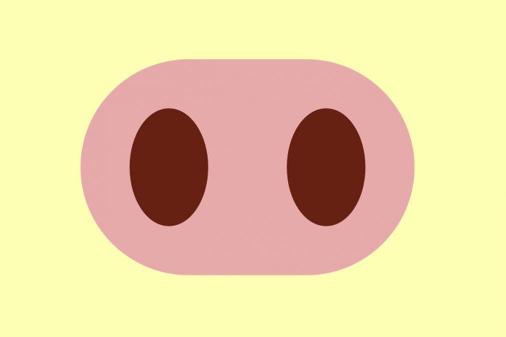 ¿Sabes qué significa el emoji de la nariz de cerdo de WhatsApp?
