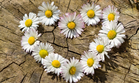 Con Septiembre, el mes de Libra, llega la primavera y el mejor momento para dar rienda suelta al amor. Con Septiembre, el mes de Libra, llega la primavera y el mejor momento para dar rienda suelta al amor.