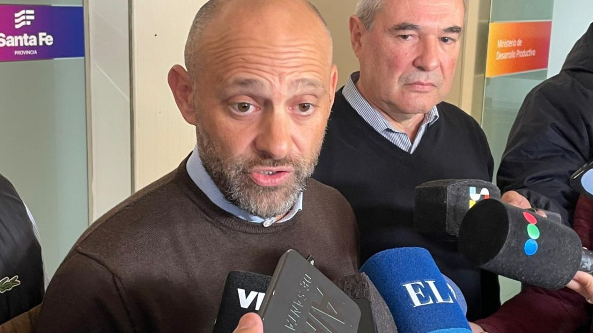 La medida fue presentada este viernes por el ministro de Desarrollo Productivo, Gustavo Puccini. La medida fue presentada este viernes por el ministro de Desarrollo Productivo, Gustavo Puccini.