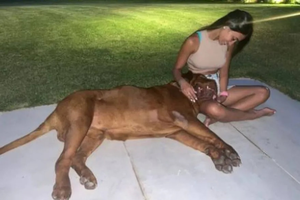 Antonela Roccuzzo junto con Hulk, el Dogo de Burdeos de la familia Messi.