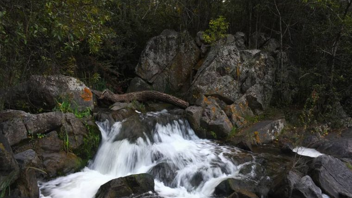 Escapada a “La Rancherita”, una maravillosa reserva natural en Córdoba. Escapada a “La Rancherita”, una maravillosa reserva natural en Córdoba.