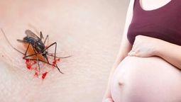 Córdoba: murió una joven por dengue hemorrágico luego de dar a luz