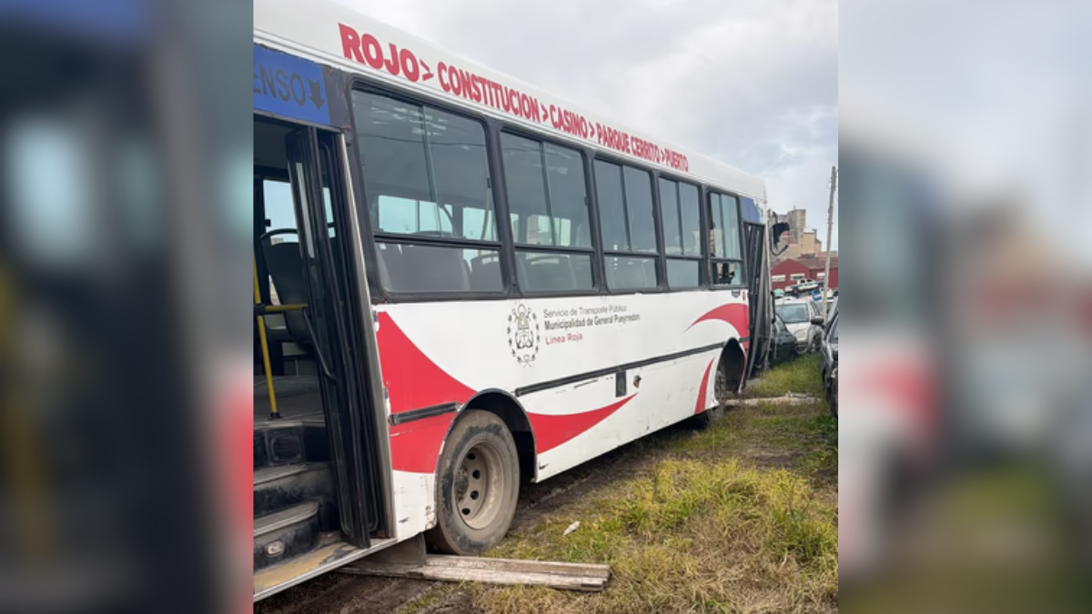 Se realizaron las pericias mecánicas al colectivo que perdió el control y mató a una joven en Mar del Plata Se realizaron las pericias mecánicas al colectivo que perdió el control y mató a una joven en Mar del Plata