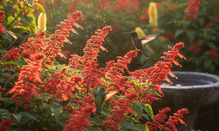 El colibrí es uno de los animales más misteriosos. El colibrí es uno de los animales más misteriosos.