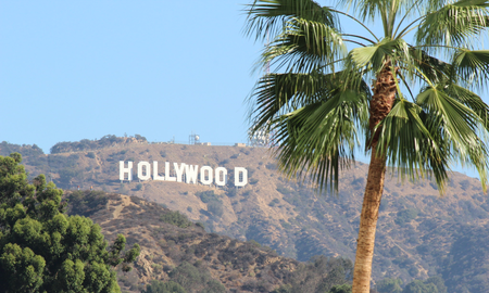 Hollywood Hollywood