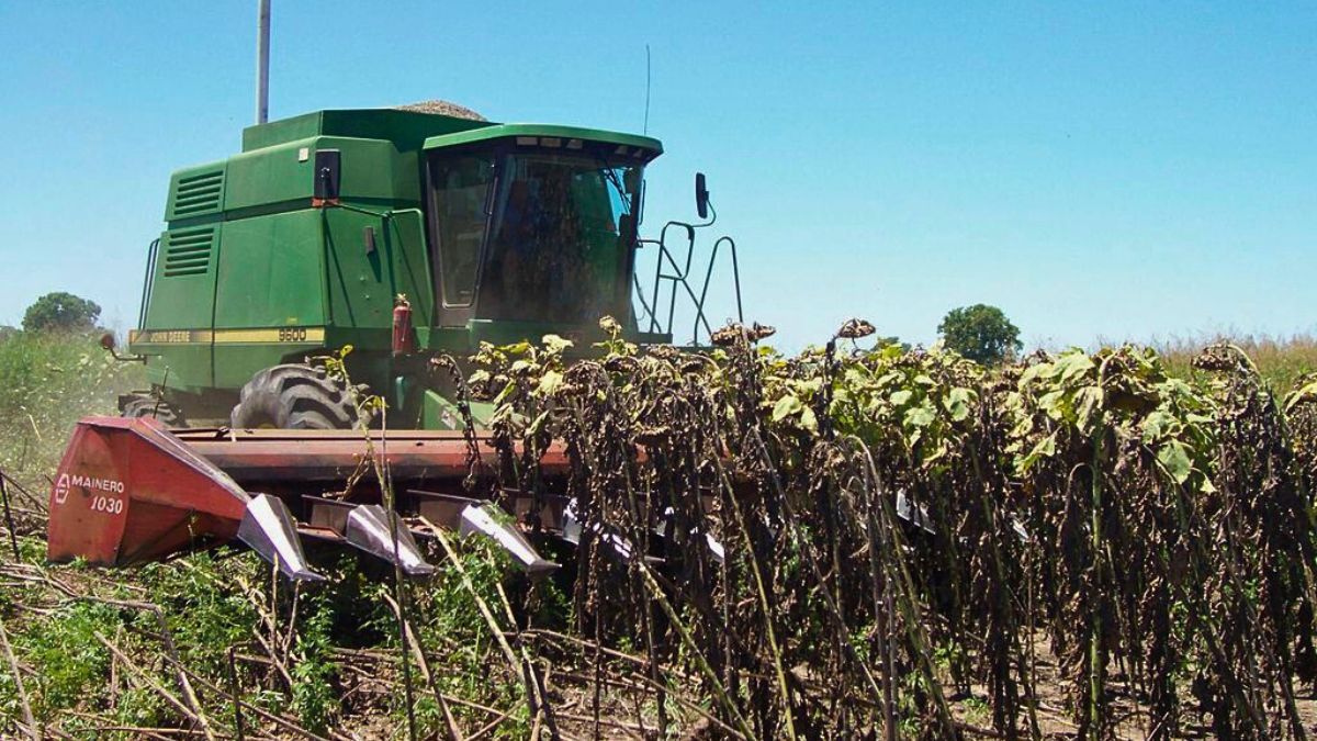 A diferencia de otras campañas de los últimos 8 o 10 años
