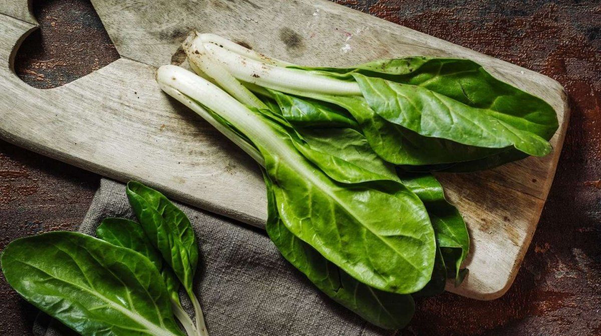 Consumir acelga en esta época del año, es altamente recomendable 