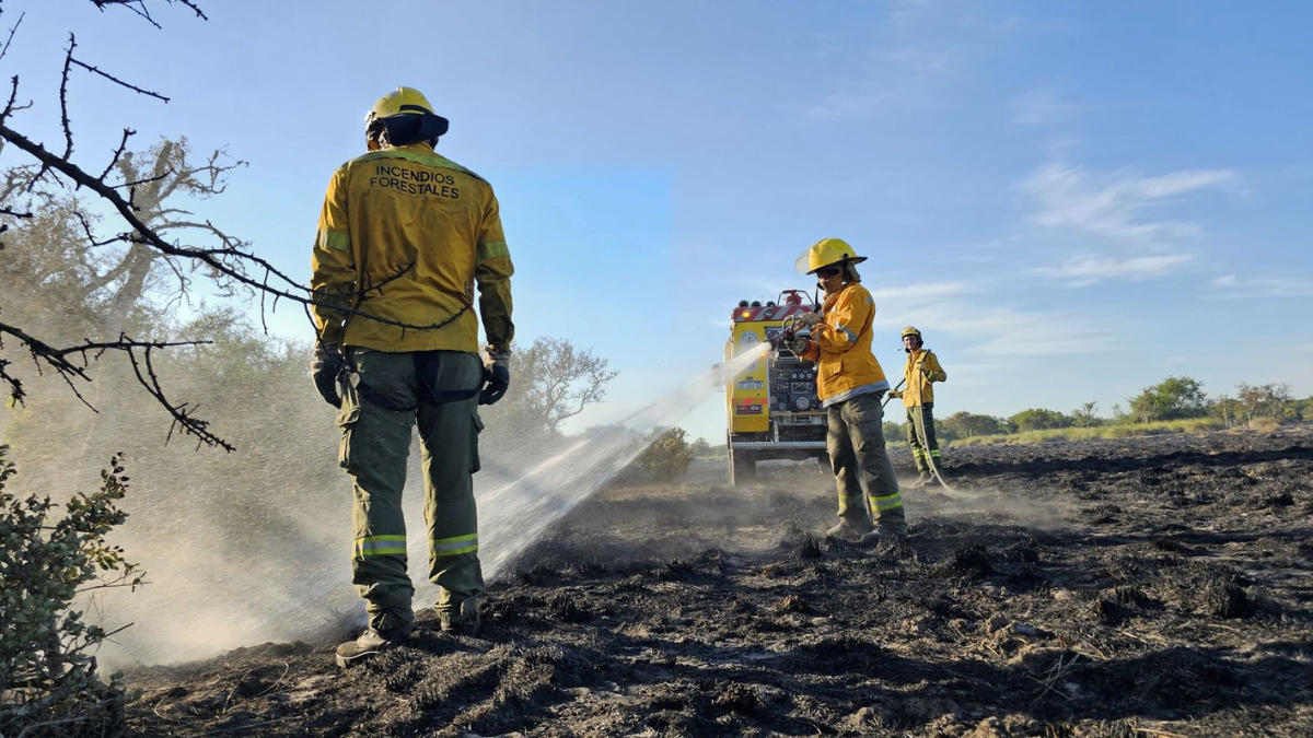 El nuevo avi&oacute;n hidrante est&aacute; preparado para combatir incendios forestales grandes y peque&ntilde;os, en zonas de dif&iacute;cil acceso.