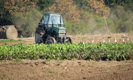 Afirman que hay una leve recuperación de la confianza de los productores en el país. Afirman que hay una leve recuperación de la confianza de los productores en el país.