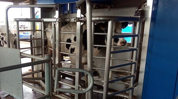 Aire de Santa Fe | robot delaval.jpg