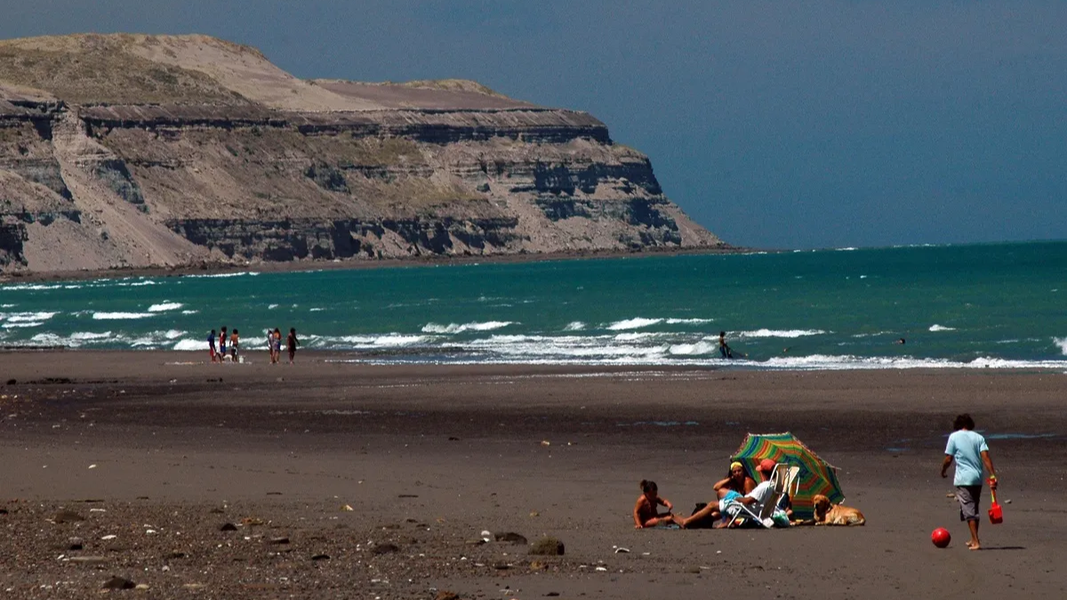 La fauna patagónica —ballenas, toninas y choiques— acompaña cada recorrido por la costa. La fauna patagónica —ballenas, toninas y choiques— acompaña cada recorrido por la costa.