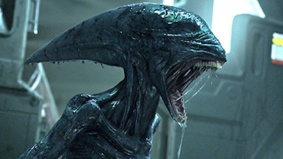 Los internautas comparan a la criatura encontrada con un embrión de Alien&nbsp;