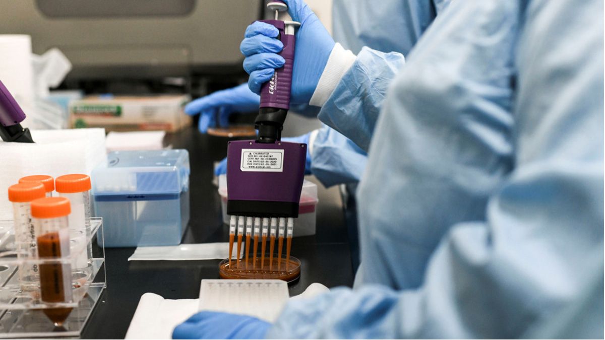 Científicos estadounidenses de los Institutos Nacionales de Salud han descubierto una nueva enfermedad mortal&nbsp;