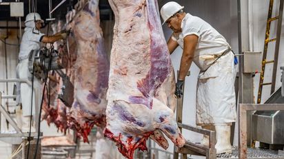 Exportaciones de carne vacuna: cómo impacta el nuevo valor del dólar en los precios