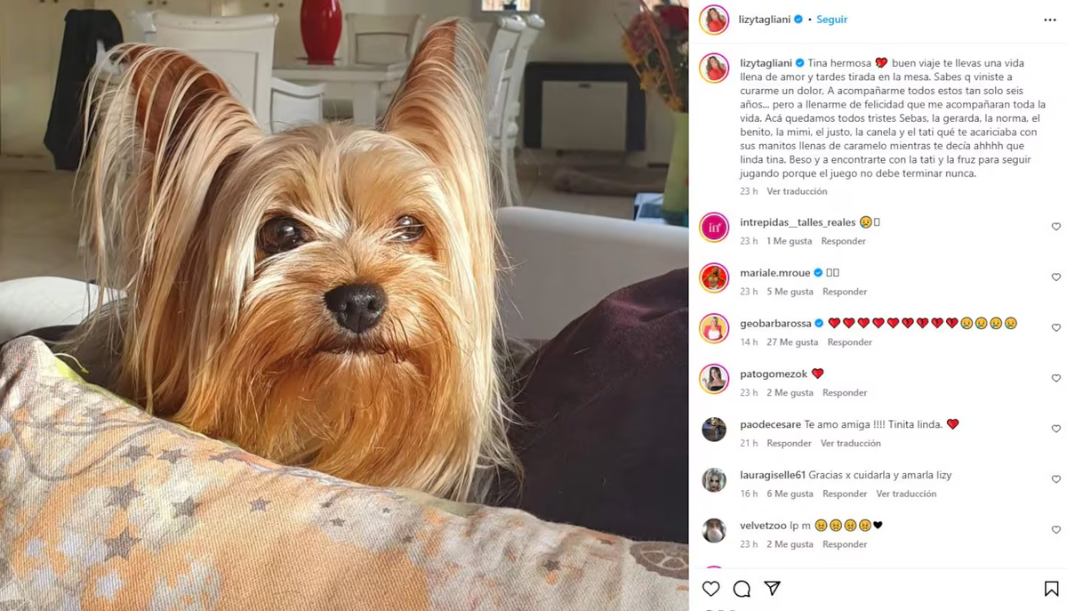 Lizy Tagliani se despidió de su perrita Tina. Lizy Tagliani se despidió de su perrita Tina.