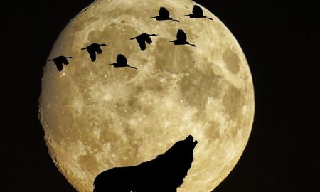 La Luna llena inaugura el 2025 con un espectáculo astronómico fascinante. La Luna llena inaugura el 2025 con un espectáculo astronómico fascinante.