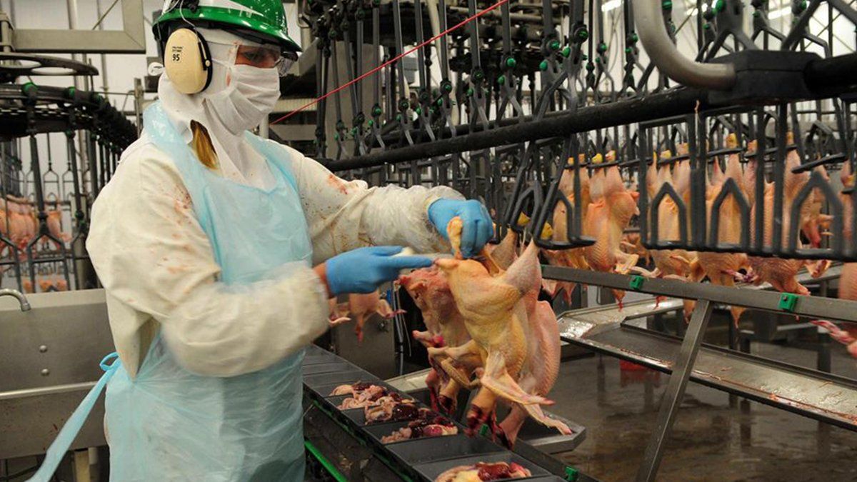 En diálogo con AIRE