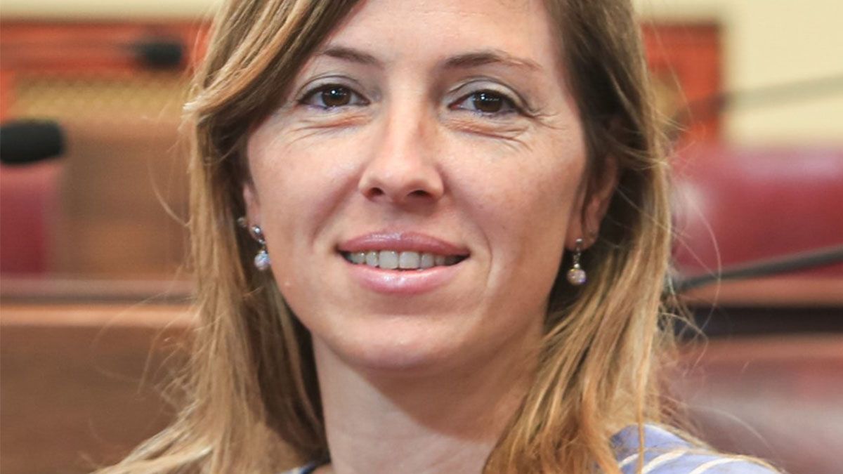 El pedido fue motivado por la difusión de un video de la sesión de este jueves de la Cámara de Diputados de la provincia en la que participa la legisladora del bloque Somos Vida y Familia desde su auto particular. Según se puede observar en el video